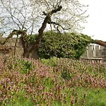 Gutshaus Buberow - Haupthaus & Loft Fuer Seminare & Gruppen Feriehus *