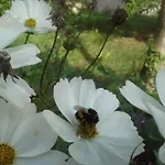 Gutshaus Buberow - Haupthaus & Loft Fuer Seminare & Gruppen Feriehus