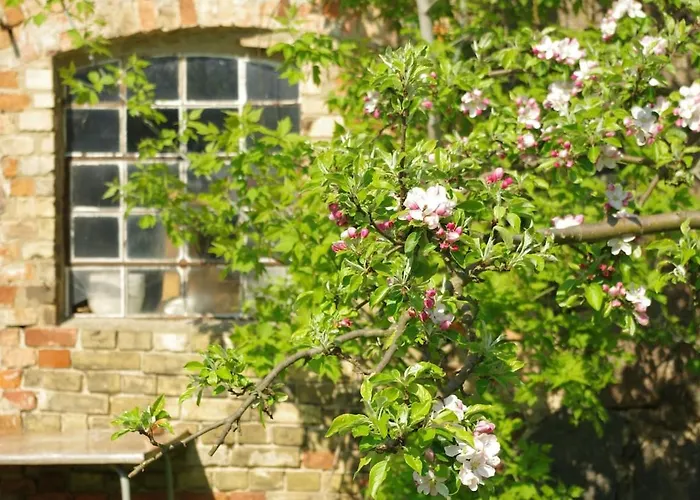 Gutshaus Buberow - Haupthaus & Loft Fuer Seminare & Gruppen * Gransee
