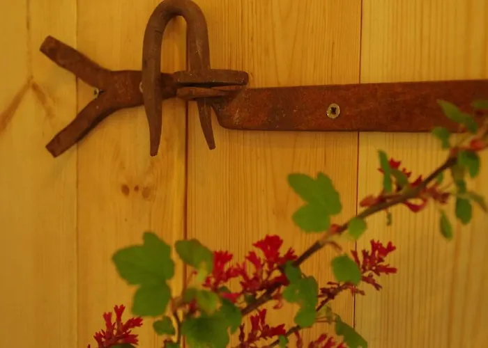 Gutshaus Buberow - Haupthaus & Loft Fuer Seminare & Gruppen * Gransee