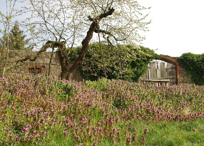 Gutshaus Buberow - Haupthaus & Loft Fuer Seminare & Gruppen Сasa de vacaciones *