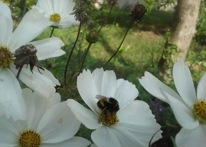 Gutshaus Buberow - Haupthaus & Loft Fuer Seminare & Gruppen Сasa de vacaciones