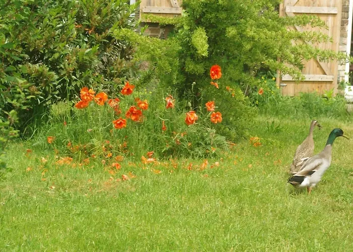 Gutshaus Buberow - Haupthaus & Loft Fuer Seminare & Gruppen *